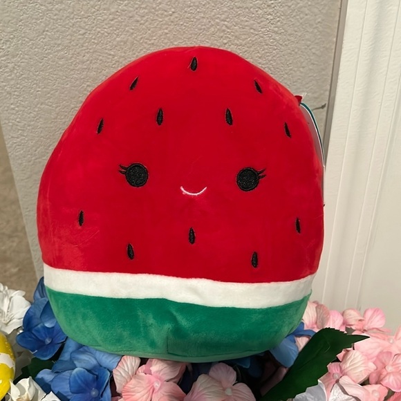 Squishmallows Other - Squishmallows Winsey the watermelon NWT